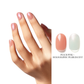 VELVET BLOOM | OneCure Gel Polish 4PC Kit - NAILOG semi cured nail strip