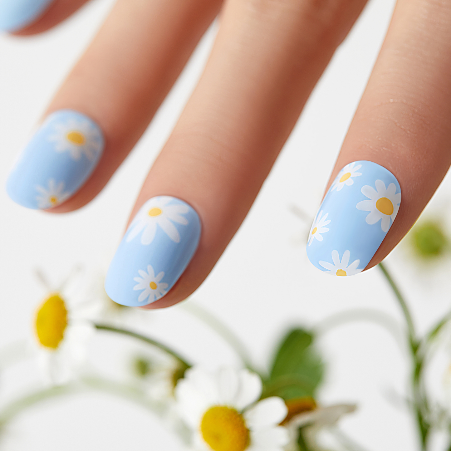 PETALS IN THE WIND | Mani Strip 20PC