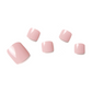 CAMELLIA | Pedi Strip 32PC - NAILOG semi cured nail strip